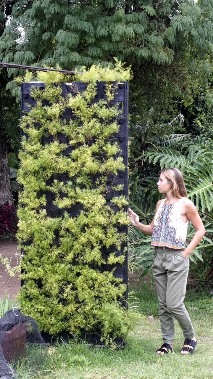 Ele possui sistema giratório que é revestido por plantas.