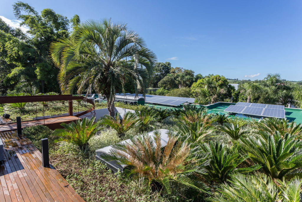 Telhado verde com vegetação exuberante e painéis solares, integrado a deck de madeira, exemplificando arquitetura sustentável em área tropical.
