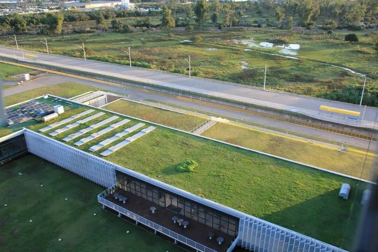 Vista aérea de uma ampla cobertura com o sistema de Telhado Verde da Ecotelhado. A vegetação rasteira cobre a laje ao lado de claraboias, exemplificando o conceito de Green Premium e infraestrutura verde para valorização imobiliária.