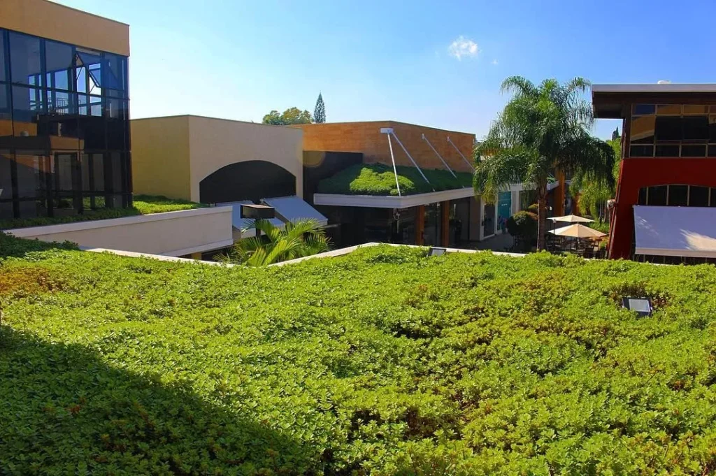Close-up de uma cobertura com sistema de telhado verde e arbustos baixos à frente de edifícios modernos. O sistema funciona como isolante térmico natural, reduzindo custos de OPEX com climatização e energia.