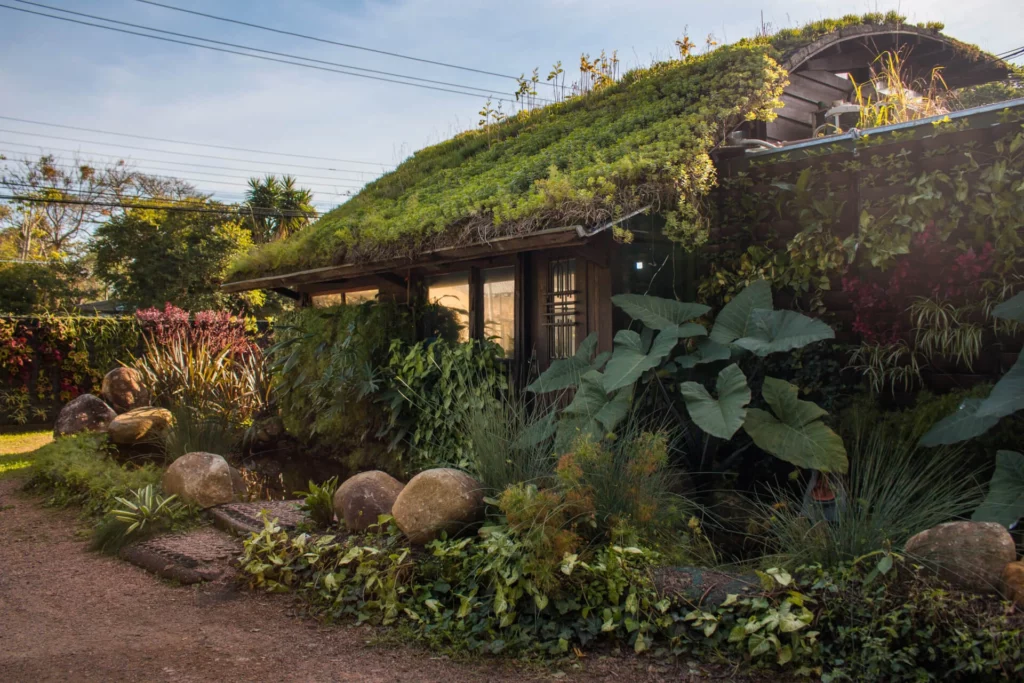 Fotografia da sede da Ecotelhado, uma edificação rústica de madeira totalmente integrada à infraestrutura verde e ao design biofílico. O telhado inclinado é completamente coberto por uma camada densa de vegetação rasteira verde (telhado verde). A fachada lateral direita exibe um jardim vertical com diversas plantas e folhagens. Em primeiro plano, há um pequeno lago ou espelho d'água cercado por grandes pedras decorativas arredondadas, plantas aquáticas, arbustos e folhagens de folhas largas, como costelas-de-adão e tinhorões. Um caminho de terra passa ao lado esquerdo, sob a luz natural do dia.