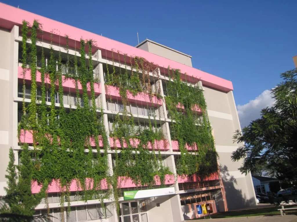 Fachada frontal do Prédio Rosa da Universidade Feevale sob um céu azul. O edifício cinza com detalhes em rosa vibrante utiliza um sistema de brise vegetal de trepadeiras orientadas por cabos verticais, criando cortinas verdes que filtram a luz solar direta e mitigam o ofuscamento nas salas de aula de forma biofílica.