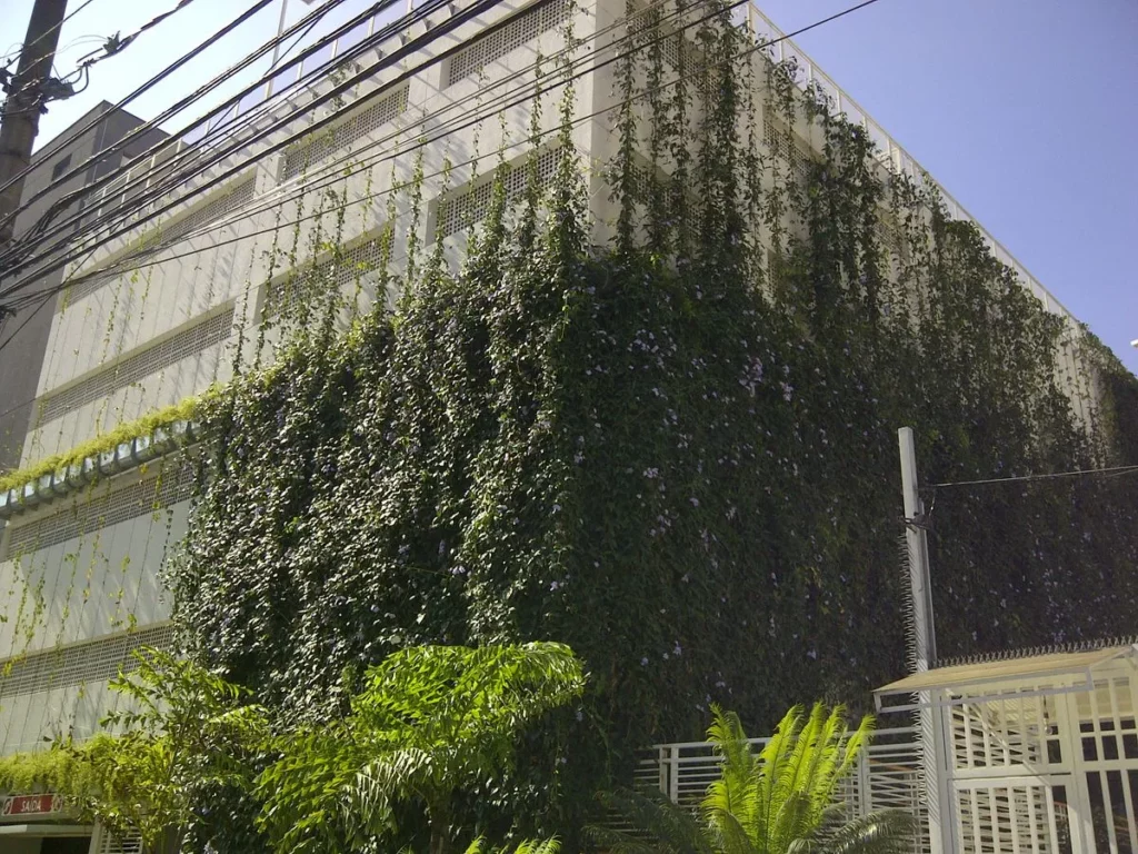 Fachada lateral de um edifício corporativo de concreto claro, parcialmente coberta por um brise vegetal do tipo trepadeira. A vegetação densa e verde-escura, salpicada por pequenas flores arroxeadas, escala a estrutura por meio de cabos verticais, sombreando as aberturas da fachada para reduzir o ganho térmico e otimizar o OPEX com ar-condicionado.