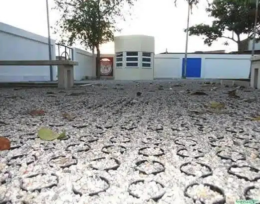 Fotografia em perspectiva ao nível do solo mostrando uma área externa pavimentada com o sistema de Ecopavimento da Ecotelhado. Em primeiro plano, a imagem destaca em detalhes a estrutura alveolar tridimensional de grelhas pretas circulares vazadas, preenchidas com brita miúda e cascalho mineral cinza-claro. Algumas folhas secas aparecem caídas sobre a superfície, ressaltando o aspecto natural e a textura permeável do piso.
Ao fundo da propriedade, a linha de visão horizontal revela uma guarita cilíndrica de cor bege com três janelas horizontais, muros brancos delimitando o espaço, um banco de concreto à esquerda, árvores e árvores de pequeno porte (palmeiras) sob um céu claro de fim de tarde. O pavimento permeável se estende por todo o pátio, exemplificando visualmente a transformação de uma área de circulação em uma superfície ativa para absorção de água e prevenção de enchentes urbanas.