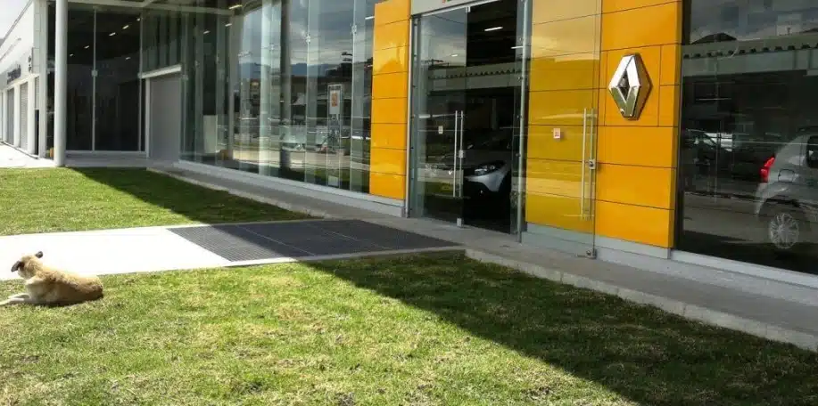 Fotografia da fachada externa de uma concessionária de veículos da marca Renault, com arquitetura moderna composta por painéis amarelos vibrantes e amplas vitrines de vidro que refletem o ambiente externo. Em primeiro plano, destaca-se uma área de gramado verde que integra o sistema de Ecopavimento vegetado, demonstrando como a tecnologia combina paisagismo e engenharia estrutural.
Uma calçada de concreto e uma rampa de acesso cortam o gramado, direcionando para a entrada principal de vidro do estabelecimento, por onde é possível ver carros em exposição no interior do showroom. À esquerda, um cachorro de pelagem clara está deitado confortavelmente sobre a grama. A imagem exemplifica a aplicação prática do pavimento permeável em empreendimentos corporativos e comerciais de alta performance, onde há necessidade de suporte a cargas de veículos aliada à drenagem sustentável e ao conforto térmico urbano.