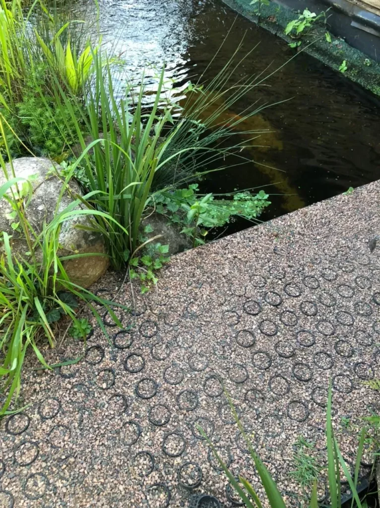 Fotografia tirada de um ângulo superior mostrando a integração harmônica entre o sistema de Ecopavimento e um lago ou piscina natural. Na metade inferior da imagem, destaca-se um caminho pavimentado com a estrutura alveolar permeável preenchida por pedriscos e brita fina de tons marrons e acinzentados.
À esquerda e ao fundo, o pavimento faz transição direta para uma zona de vegetação palustre densa, com folhagens longas e pontiagudas (semelhantes a juncos) que emergem entre pedras decorativas e dão acabamento à borda d'água. Na metade superior da imagem, vê-se a água escura e límpida do lago natural, que reflete sutilmente a luz e a vegetação do entorno, contendo também algumas plantas flutuantes. A composição exemplifica visualmente o conceito de Design Biofílico e Soluções Baseadas na Natureza (SBN), mostrando como a infraestrutura de drenagem urbana pode coexistir esteticamente com ecossistemas hídricos artificiais para promover biodiversidade e equilíbrio hidrológico local.