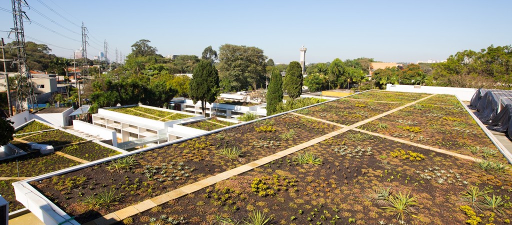 Telhado verde em São Paulo Telhado verde em São Paulo