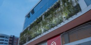 Brise Vegetal para Fachadas Verdes Prédio