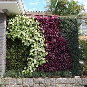 jardim-vertical-parede-verde-canguru