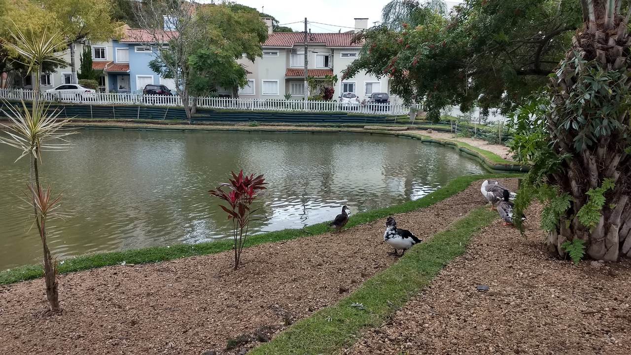 Nos lagos e piscinas naturais não é preciso utilizar nenhum tipo de aditivo químico.