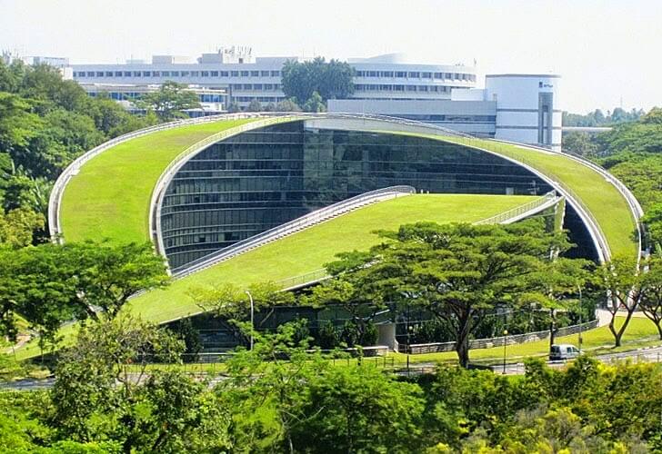 Universidade-Cingapura-Telhado-Verde-Grama-06