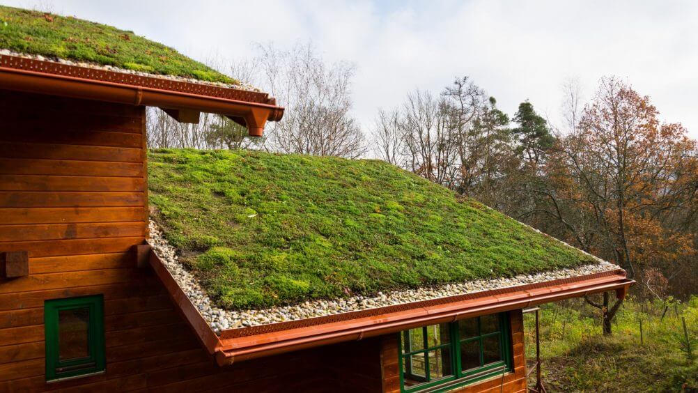 telhado verde sustentável