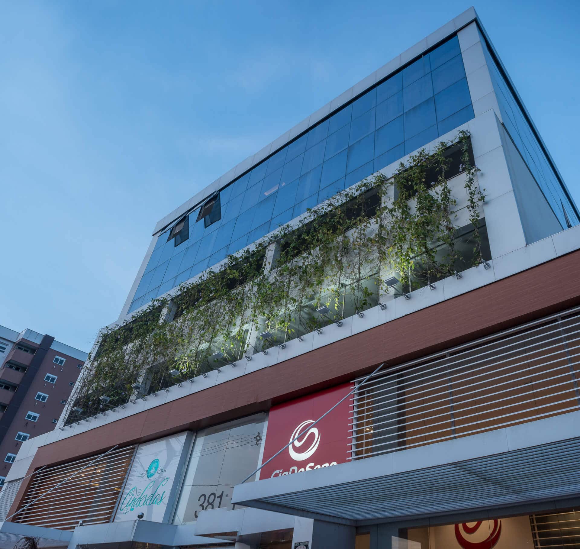 Este sistema utiliza plantas fixadas às paredes externas das construções.