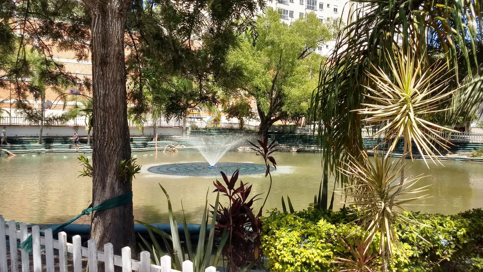 As ilhas flutuantes tratam e purificam águas contaminadas.