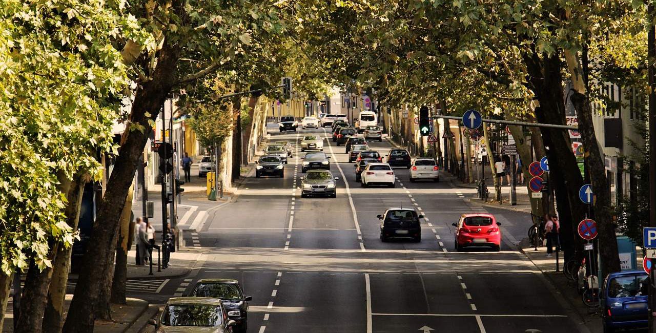 estrada-carros-árvores-cidades-biofilicas
