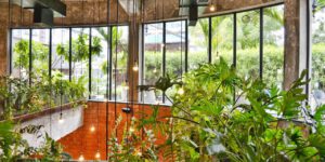 ambiente-interno-plantas-neuroarquitetura