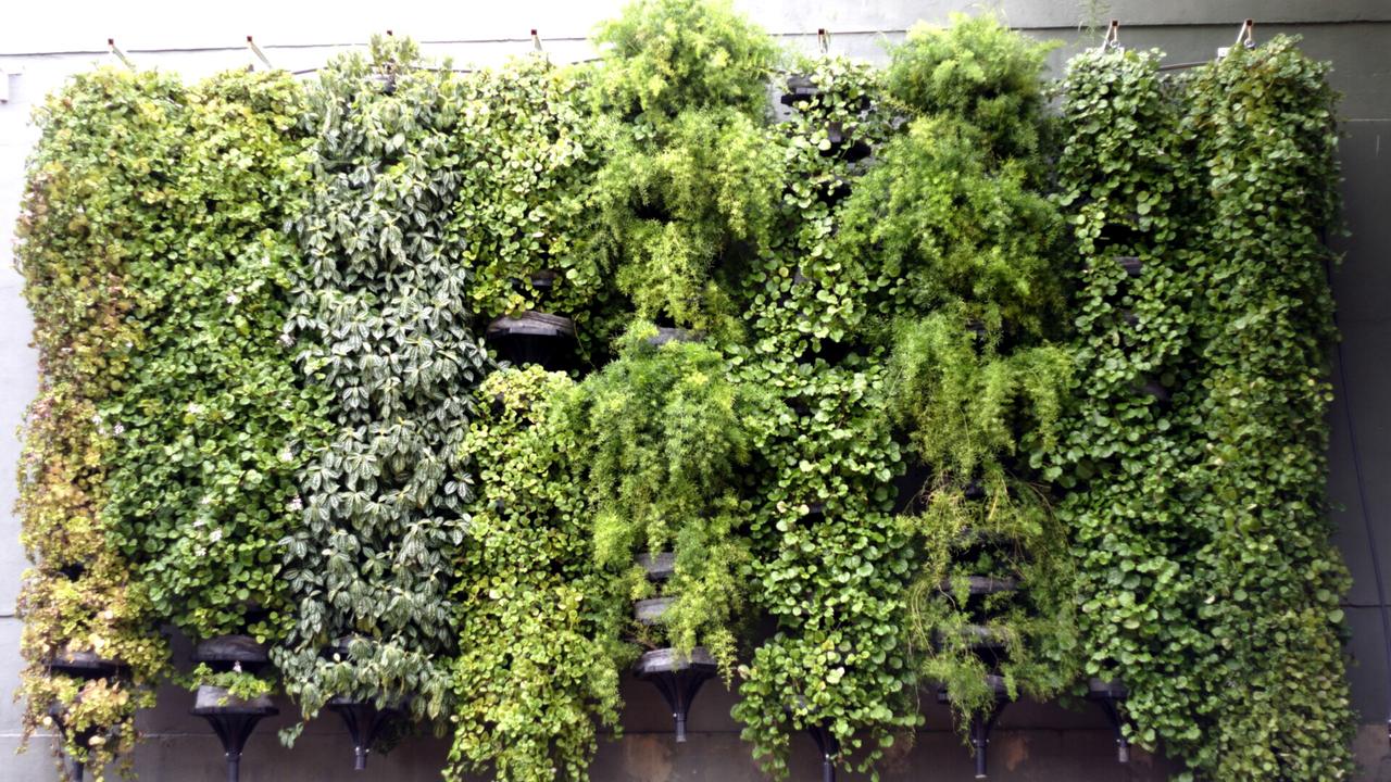 O Brise com Vegetação Pendente é ideal para decorar fachadas ou ambientes internos.