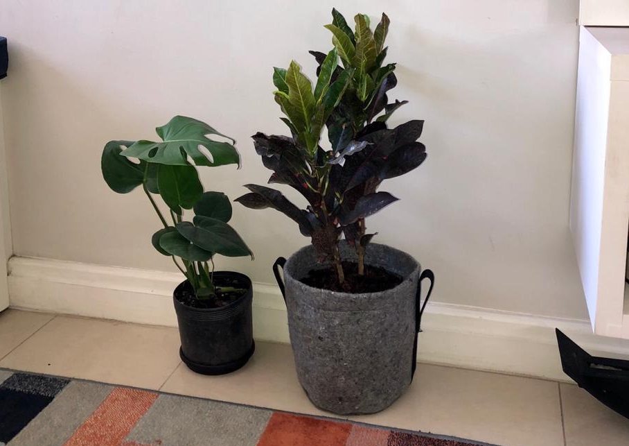 O Vasoflex é lavável e reutilizável.