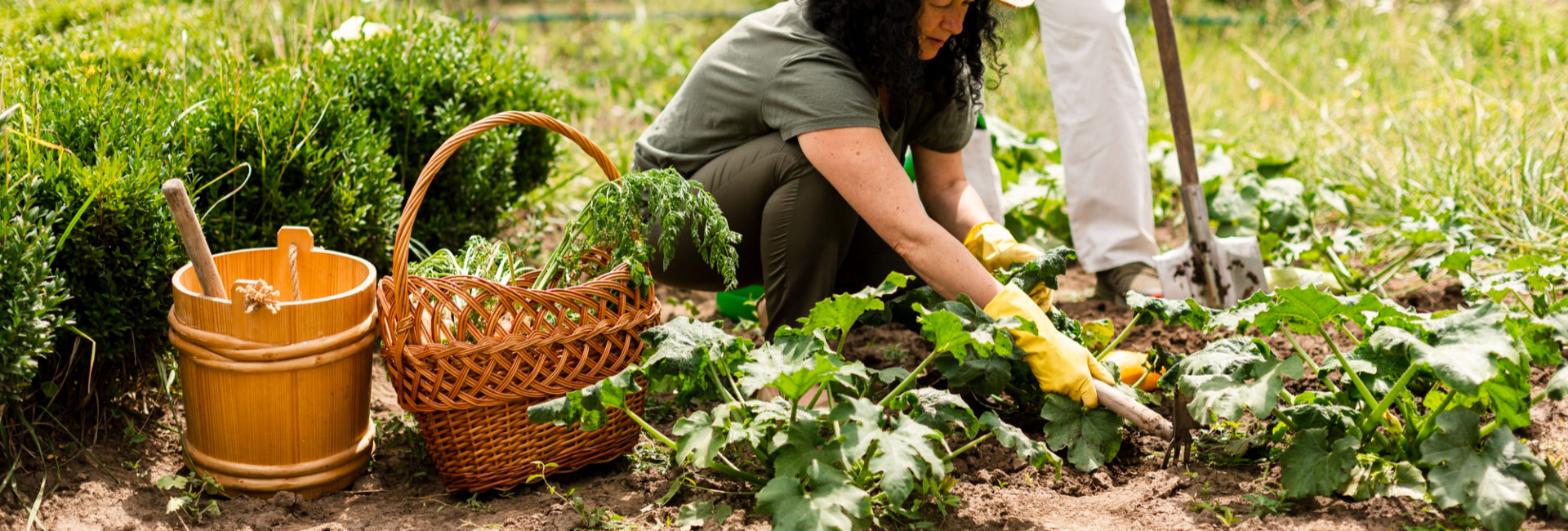 Imagem de uma mulher mexendo em plantas para simbolizar o que é permacultura