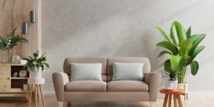 sofa e plantas ornamentais para sala