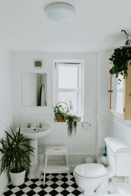 ideias de plantas para decorar banheiro