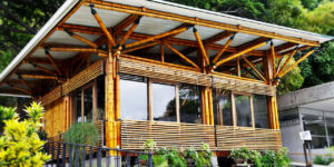 exemplo de aplicação do bambu na construção civil