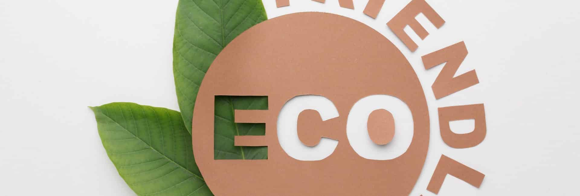 Imagem de uma planta verde ao redor da plavra eco friendly para simbolizar o que é eco friendly