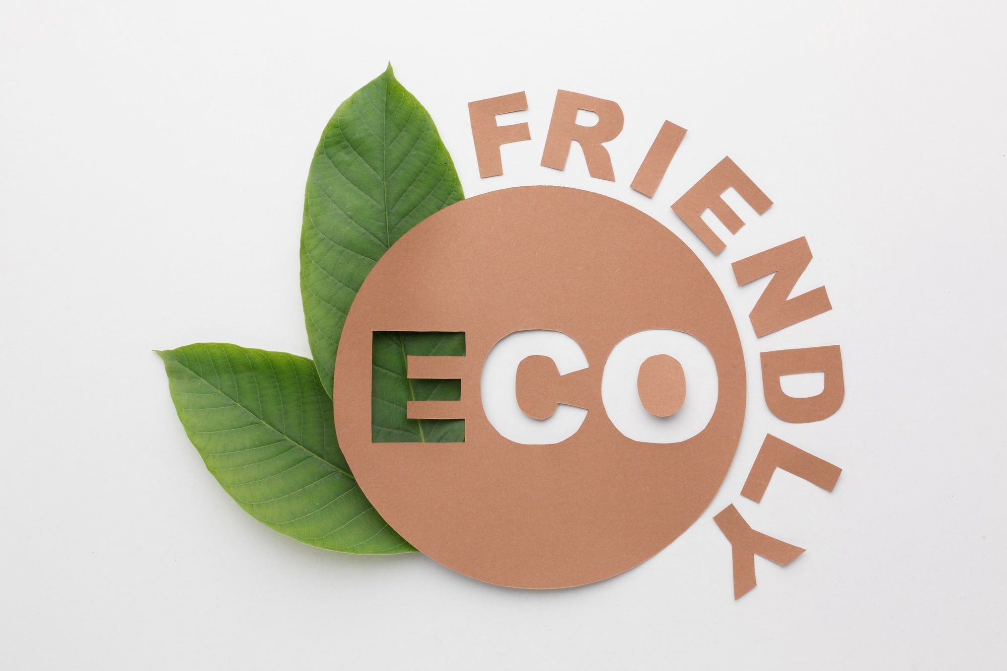 Eco Friendly: Entenda o Conceito no Ambiente Corporativo