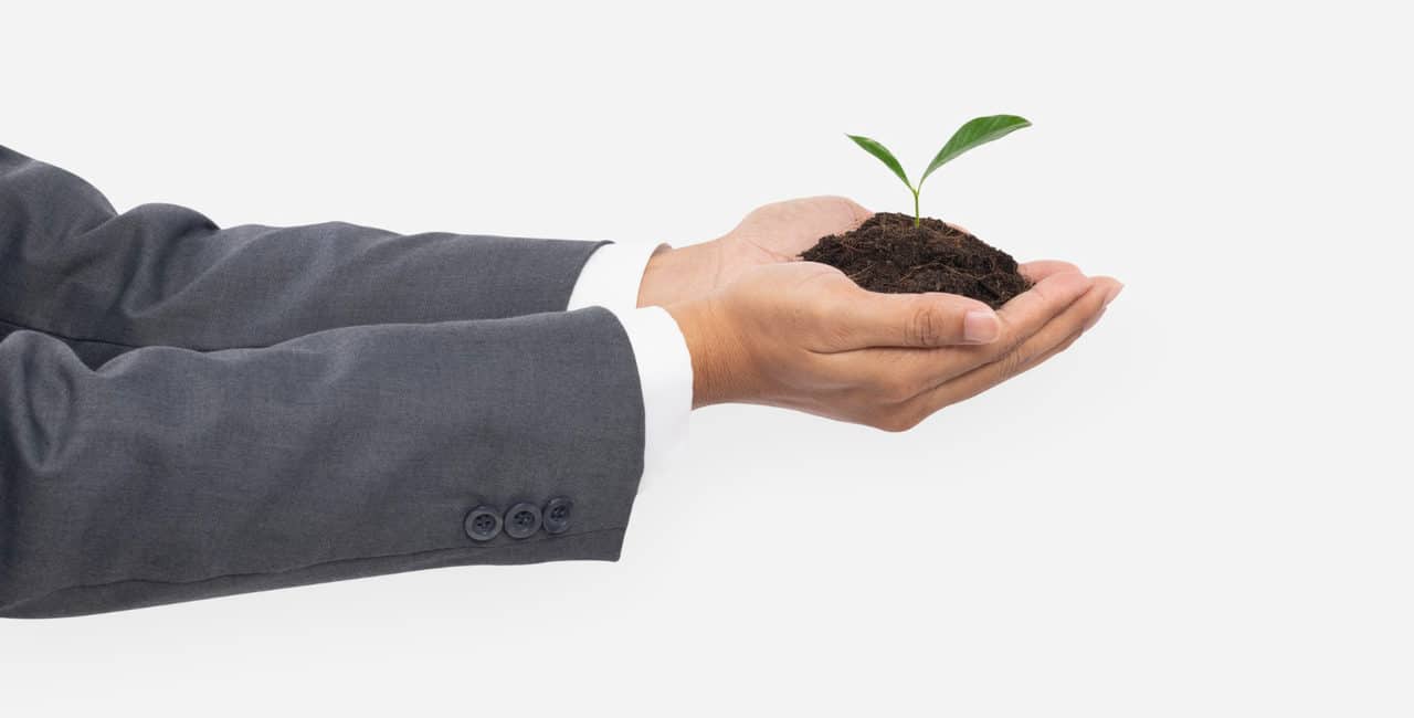 mão segurando uma planta para simbolizar uma empresa eco friendly