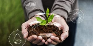uma mão carregando uma planta para simbolizar greentech