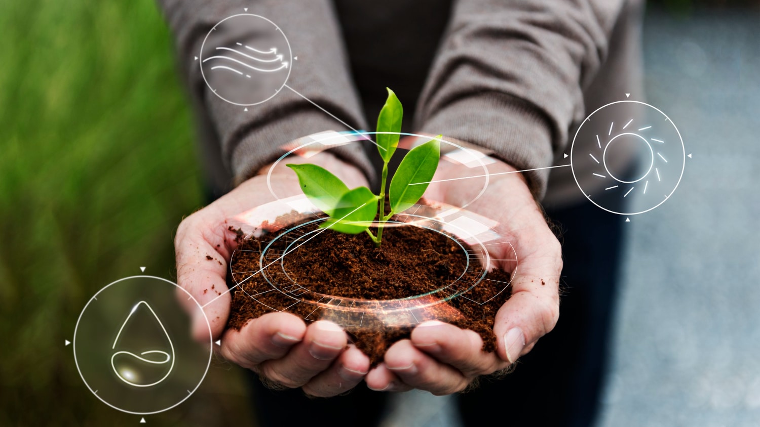 imagem de duas mãos unidas segurando uma planta simbolizando a sustentabilidade em ambientes corporativos