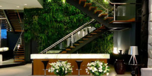 Imagem de uma escada com um jardim para simbolizar jardim de inverno embaixo da escada