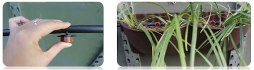 Duas imagens de vasos sendo irrigados para simbolizar irrigação automatizada