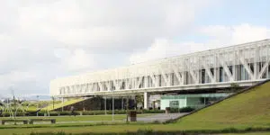 Imagem de um telhado verde