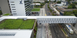 Imagem de telhados verdes para simbolizar dia mundial do urbanismo