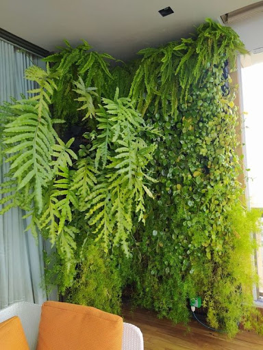 Imagem de plantas em um canto, como jardim vertical, para simbolizar as plantas para apartamento