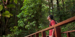 homem no meio da natureza para simbolizar soluções baseadas na natureza