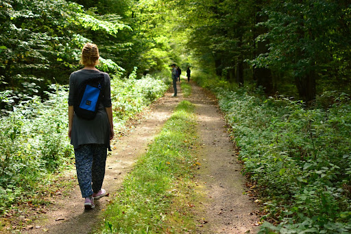 Imagem de um caminho de floresta, com umas pessoas caminhando para simbolizar o banho de floresta