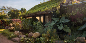 Imagem de uma casa toda verde, com telhado verde para simbolizar o sequestro de carbono