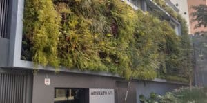Imagem de um prédio cheio de parede viva realizada pela Ecotelhado