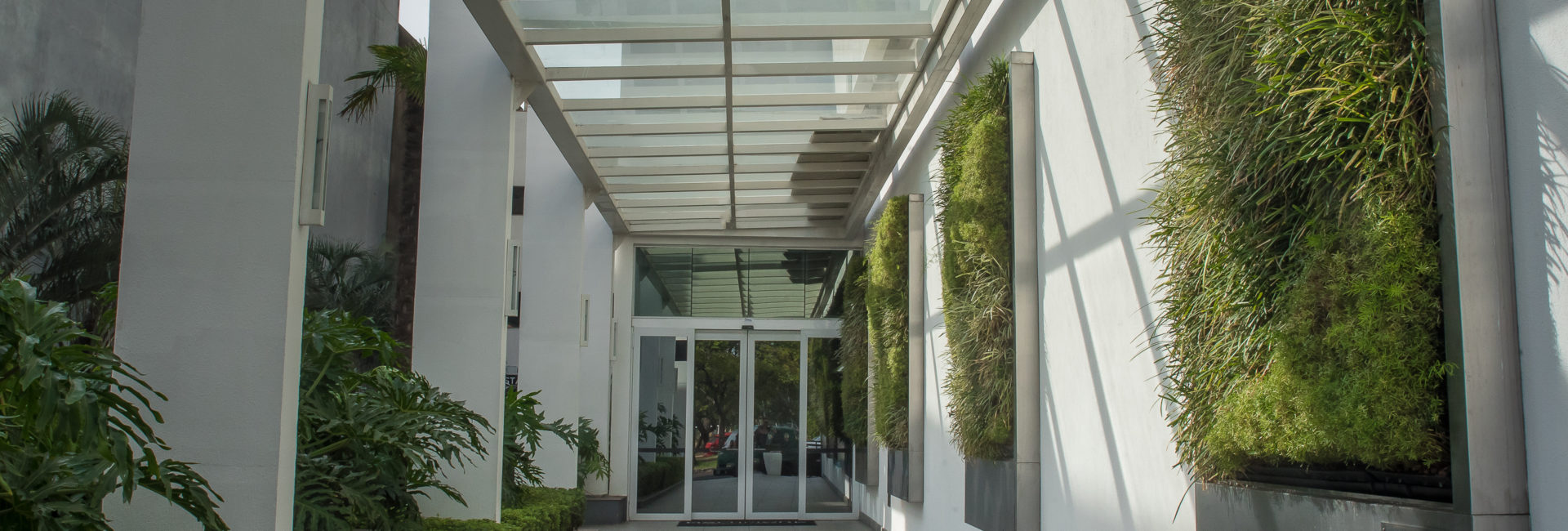 Imagem de um corredor com plantas do arquivo da Ecotelhado para simbolizar plantas para corredor externo