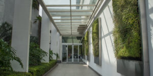 Imagem de um corredor com plantas do arquivo da Ecotelhado para simbolizar plantas para corredor externo