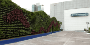 Imagem do muro vegatado do Barra Shopping feito pela Ecotelhado para simbolizar o design biofílico