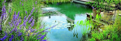 Imagem de uma piscina natural para simbolizar o espelho d'água  