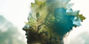 Imagem de uma ilustração em formato de cabeça feminina com vegetação para simbolizar a psicologia ambiental