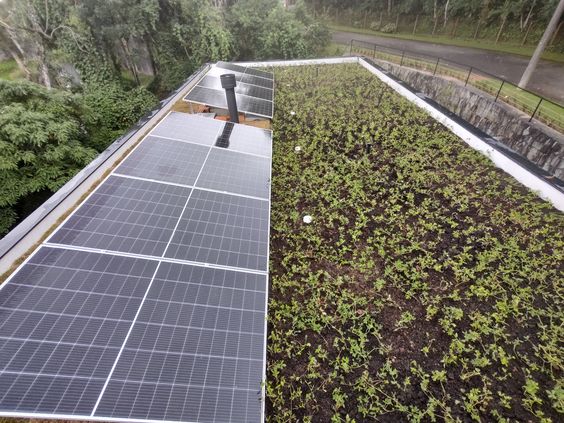 Imagem de algumas placas de energia solar com telhado verde da Ecotelhado, para simbolizar as consequências das mudanças climáticas