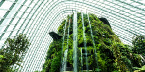 Imagem de um jardim com várias plantas e cachoeira, em uma espécie de estufa arquitetônica para simbolizar a arquitetura biomimética