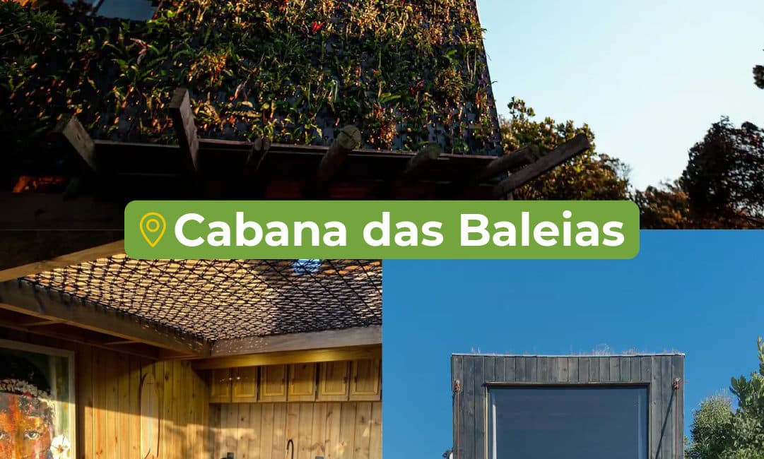 cabana das baleias