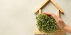 Mão protegendo um arbusto verde em formato de coração dentro de uma estrutura de casa feita com blocos de madeira, simbolizando sustentabilidade e proteção ambiental no lar.