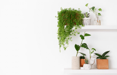 Planta verde decorativa posicionada ao lado de uma janela com luz natural, criando um ambiente tranquilo e acolhedor